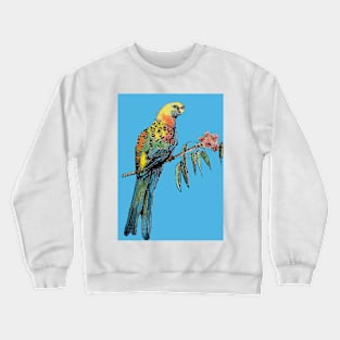 Rosella Parrot Watercolor Painting on Teal Blue Crewneck Sweatshirt